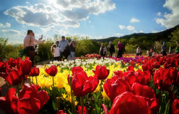 Парад Тюльпанов в Крыму