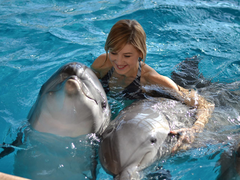 Для отдыха с ребенком в дельфинарий Алушты